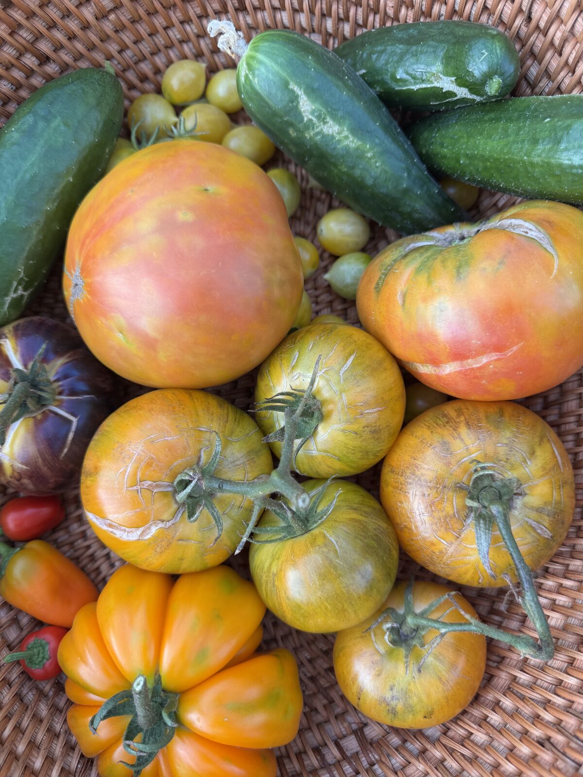A basket of colorful heirloom tomatoes in shades of red, orange, and purple