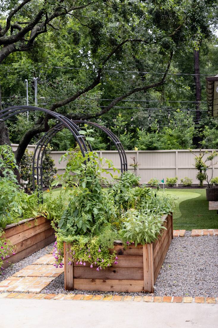 Detail of an arch trellis with climbing vegetables over a cedar raised bed
