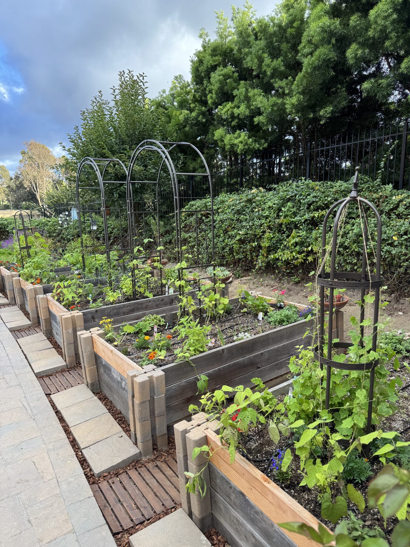 Erin's Garden: wood raised beds with arch trellises and obelisks along a stone pathway