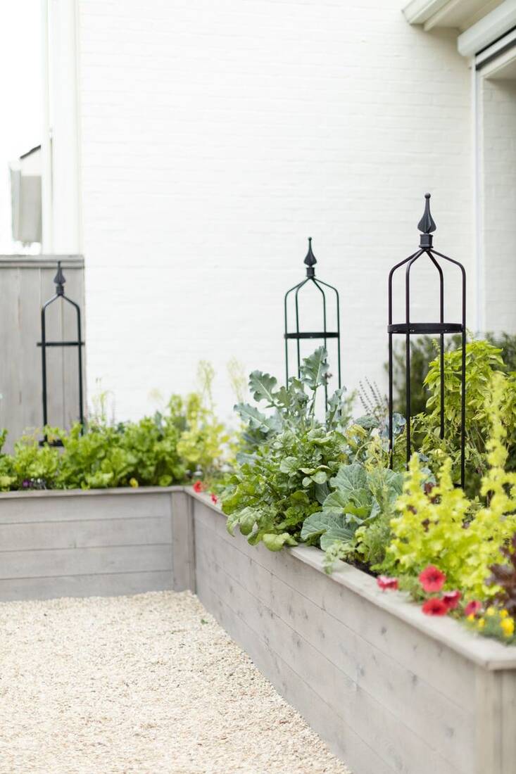 Gray-stained raised beds with black obelisk trellises against a white brick house
