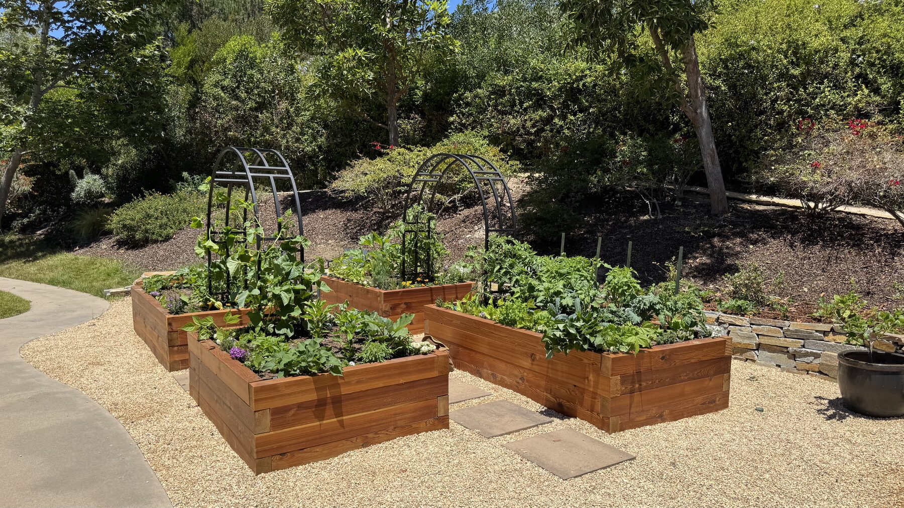 Howard's Garden: two cedar raised beds with black arch trellises on a gravel patio